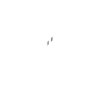 Bosso Development